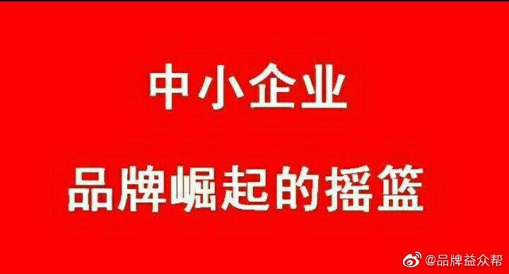 企业品牌营销策划实战指南 从战略到落地的完整框架